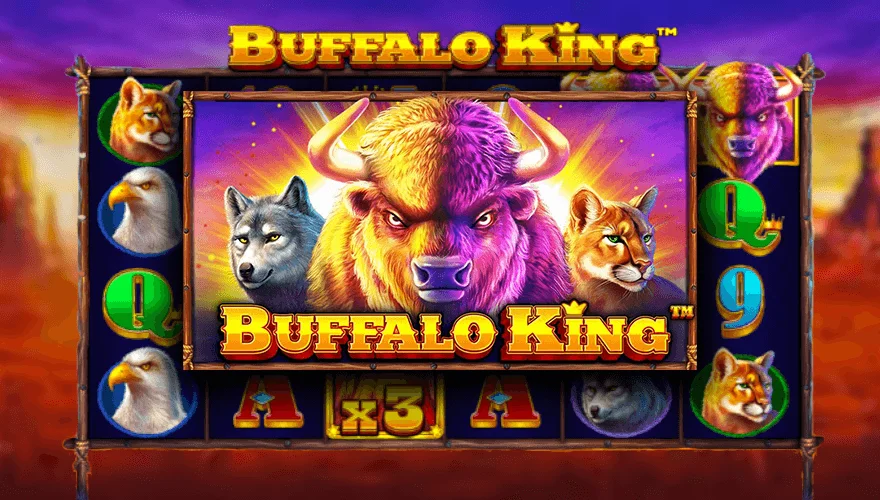 Buffalo King